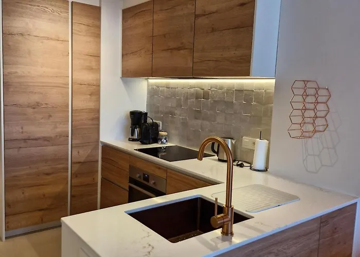 Appartement Alizee Met Frontaal Zeezicht Blankenberge