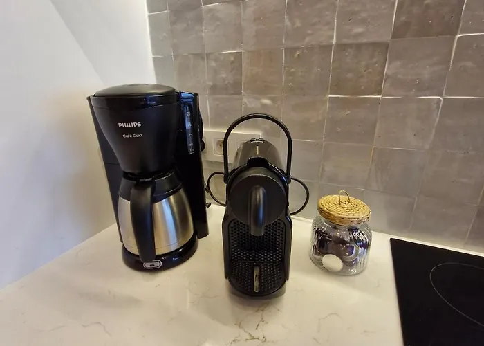 Апартаменты Alizee Met Frontaal Zeezicht *